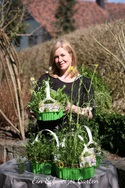 Blüteninseln für mehr Biodiversität Ein Schweizer Garten Bloglovin’